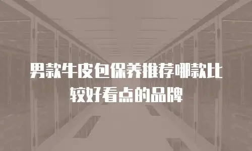 男款牛皮包保养推荐哪款比较好看点的品牌