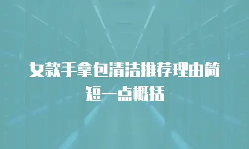 女款手拿包清洁推荐理由简短一点概括
