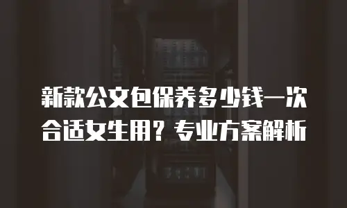 新款公文包保养多少钱一次合适女生用？专业方案解析