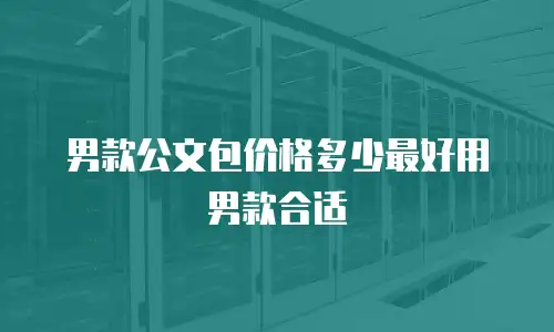 男款公文包价格多少最好用男款合适