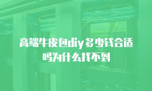 高端牛皮包diy多少钱合适吗为什么找不到