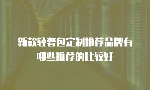 新款轻奢包定制推荐品牌有哪些推荐的比较好
