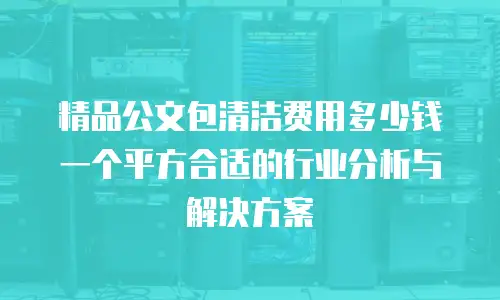 精品公文包清洁费用多少钱一个平方合适的行业分析与解决方案