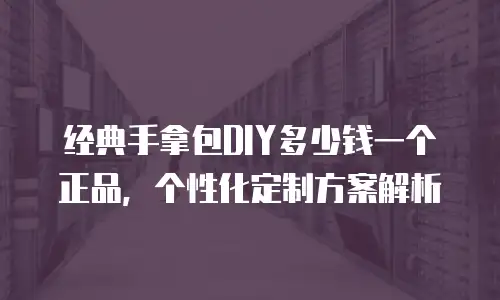 经典手拿包DIY多少钱一个正品，个性化定制方案解析