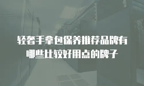 轻奢手拿包保养推荐品牌有哪些比较好用点的牌子
