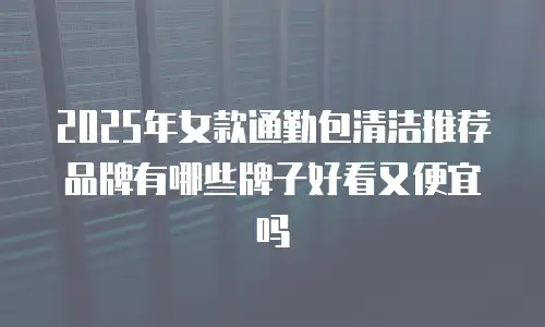 2025年女款通勤包清洁推荐品牌有哪些牌子好看又便宜吗