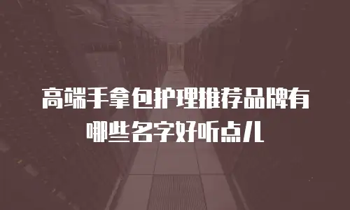 高端手拿包护理推荐品牌有哪些名字好听点儿