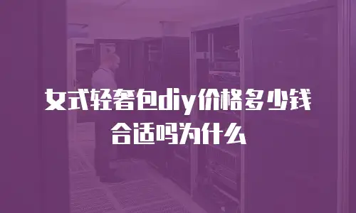 女式轻奢包diy价格多少钱合适吗为什么