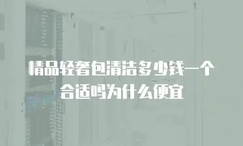 精品轻奢包清洁多少钱一个合适吗为什么便宜