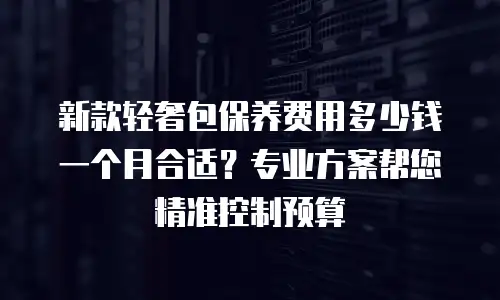 新款轻奢包保养费用多少钱一个月合适？专业方案帮您精准控制预算