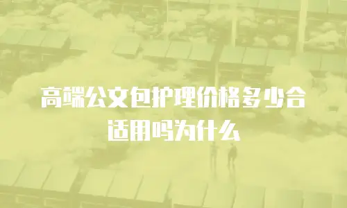 高端公文包护理价格多少合适用吗为什么