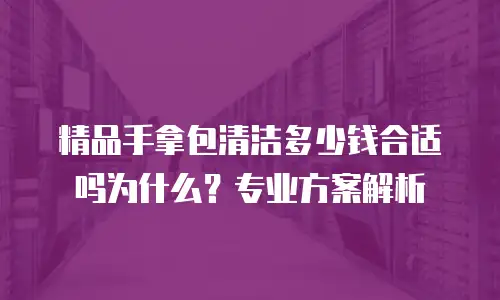 精品手拿包清洁多少钱合适吗为什么？专业方案解析