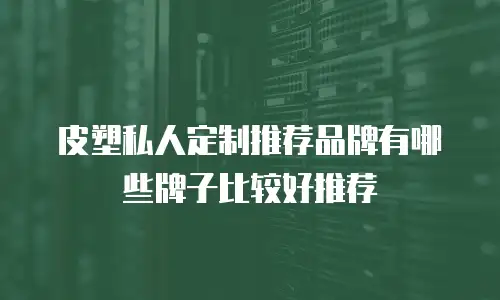 皮塑私人定制推荐品牌有哪些牌子比较好推荐