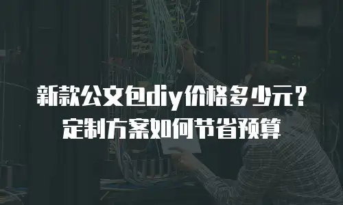 新款公文包diy价格多少元？定制方案如何节省预算