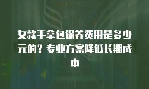 女款手拿包保养费用是多少元的？专业方案降低长期成本