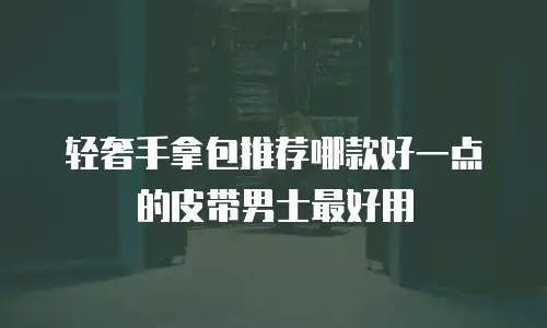 轻奢手拿包推荐哪款好一点的皮带男士最好用