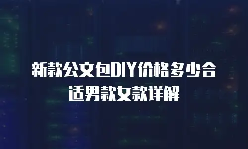 新款公文包DIY价格多少合适男款女款详解