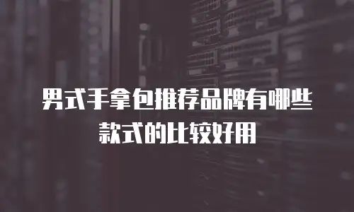 男式手拿包推荐品牌有哪些款式的比较好用