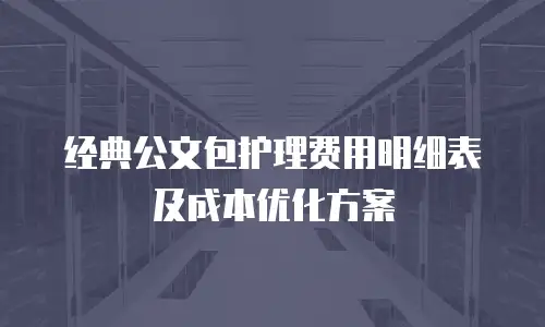 经典公文包护理费用明细表及成本优化方案