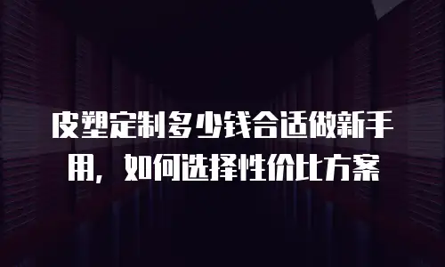 皮塑定制多少钱合适做新手用，如何选择性价比方案