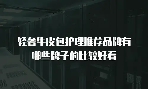 轻奢牛皮包护理推荐品牌有哪些牌子的比较好看