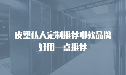 皮塑私人定制推荐哪款品牌好用一点推荐