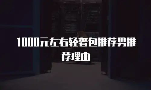 1000元左右轻奢包推荐男推荐理由