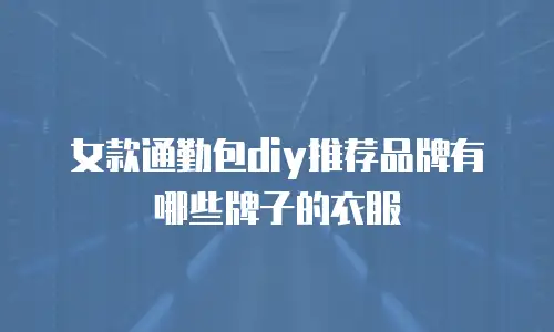 女款通勤包diy推荐品牌有哪些牌子的衣服