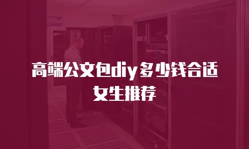 高端公文包diy多少钱合适女生推荐