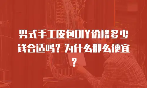 男式手工皮包DIY价格多少钱合适吗？为什么那么便宜？
