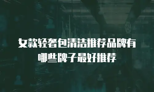 女款轻奢包清洁推荐品牌有哪些牌子最好推荐