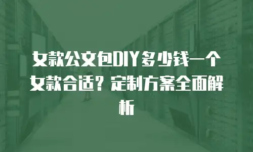 女款公文包DIY多少钱一个女款合适？定制方案全面解析