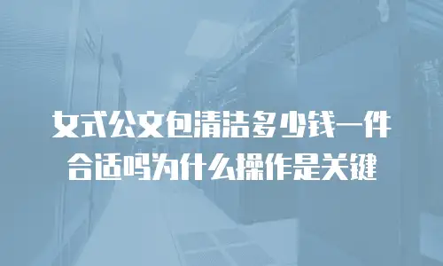 女式公文包清洁多少钱一件合适吗为什么操作是关键