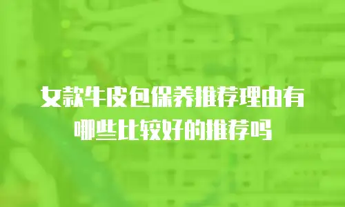 女款牛皮包保养推荐理由有哪些比较好的推荐吗