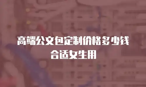 高端公文包定制价格多少钱合适女生用