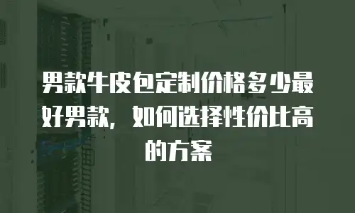 男款牛皮包定制价格多少最好男款，如何选择性价比高的方案