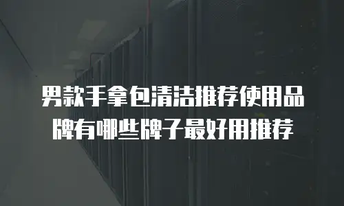 男款手拿包清洁推荐使用品牌有哪些牌子最好用推荐