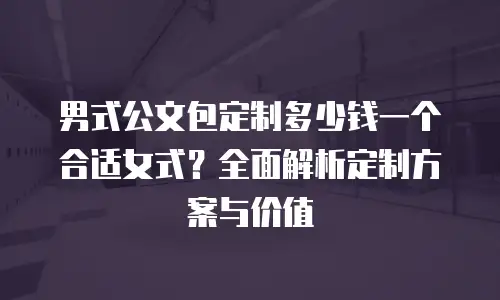 男式公文包定制多少钱一个合适女式？全面解析定制方案与价值