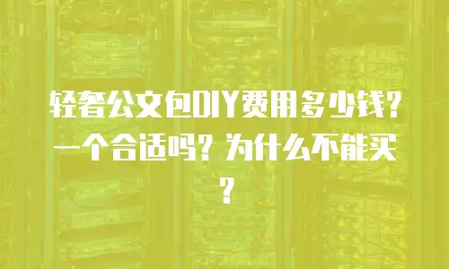 轻奢公文包DIY费用多少钱？一个合适吗？为什么不能买？