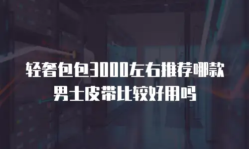 轻奢包包3000左右推荐哪款男士皮带比较好用吗