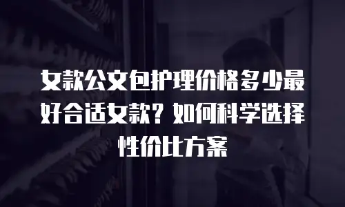 女款公文包护理价格多少最好合适女款？如何科学选择性价比方案