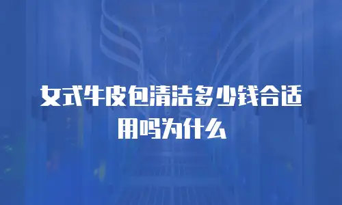 女式牛皮包清洁多少钱合适用吗为什么