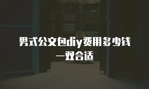 男式公文包diy费用多少钱一双合适
