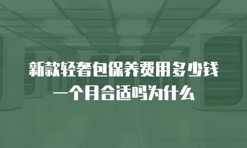 新款轻奢包保养费用多少钱一个月合适吗为什么