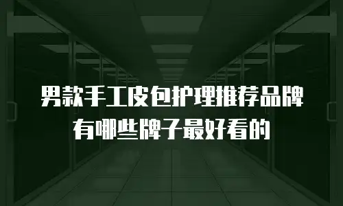 男款手工皮包护理推荐品牌有哪些牌子最好看的