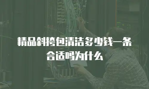 精品斜挎包清洁多少钱一条合适吗为什么