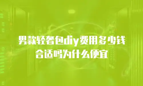 男款轻奢包diy费用多少钱合适吗为什么便宜