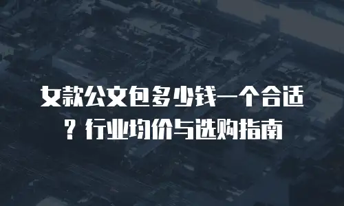 女款公文包多少钱一个合适？行业均价与选购指南