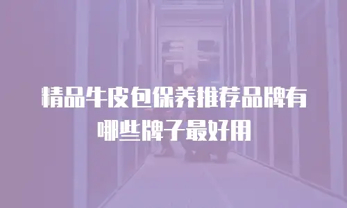 精品牛皮包保养推荐品牌有哪些牌子最好用