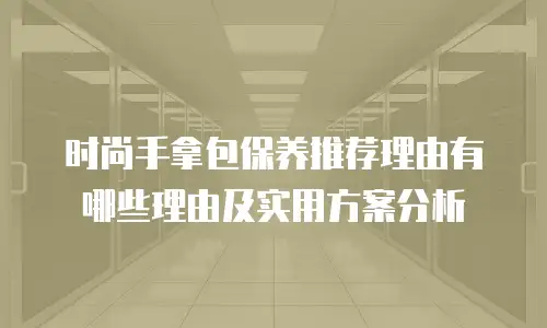 时尚手拿包保养推荐理由有哪些理由及实用方案分析